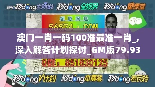 澳门一肖一码100准最准一肖_,深入解答计划探讨_GM版79.931