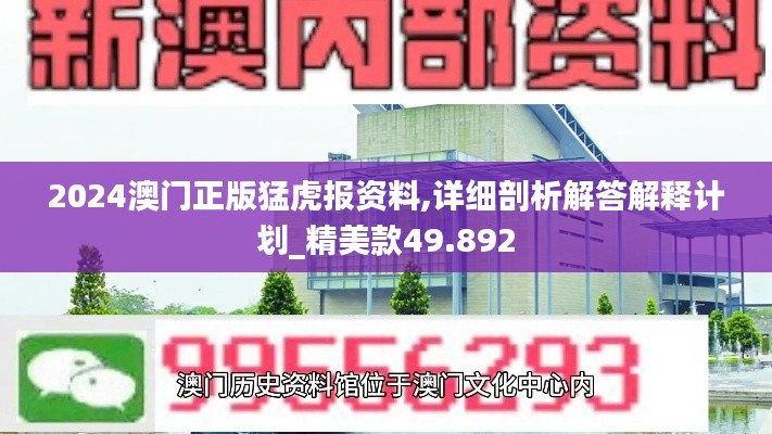 2024澳门正版猛虎报资料,详细剖析解答解释计划_精美款49.892