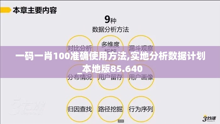 一码一肖100准确使用方法,实地分析数据计划_本地版85.640