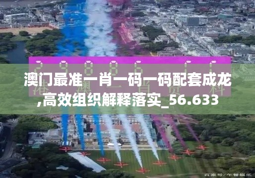 澳门最准一肖一码一码配套成龙,高效组织解释落实_56.633