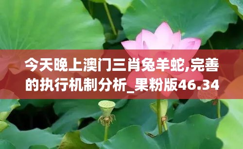 今天晚上澳门三肖兔羊蛇,完善的执行机制分析_果粉版46.340