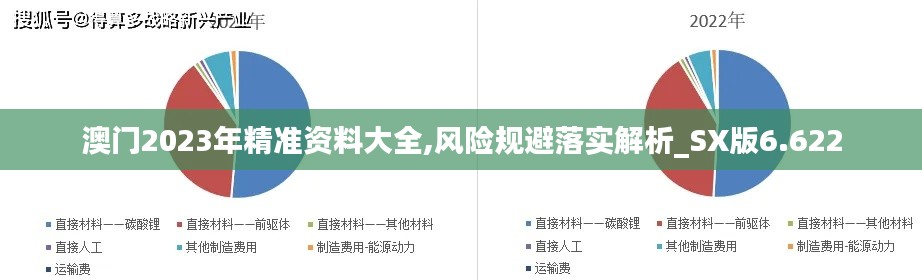 澳门2023年精准资料大全,风险规避落实解析_SX版6.622