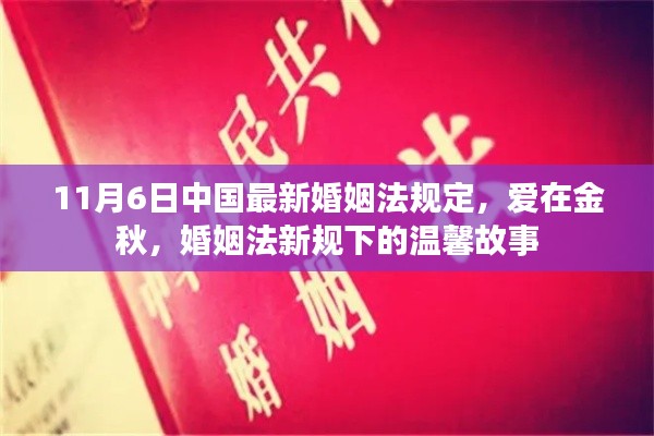 婚姻法新规下的金秋爱情故事，新规下的温馨故事