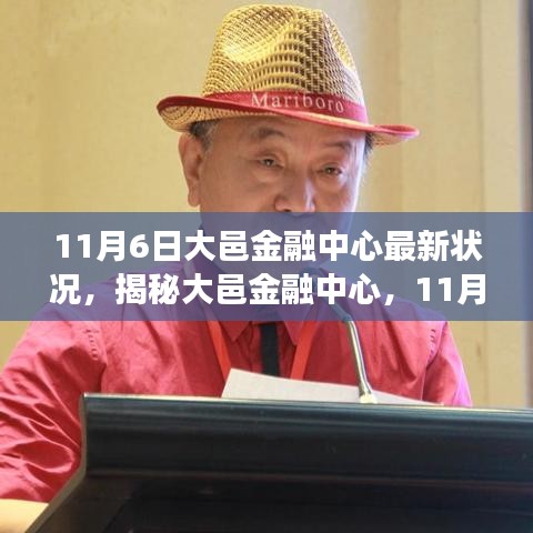 揭秘大邑金融中心，最新动态与深度洞察（11月最新更新）