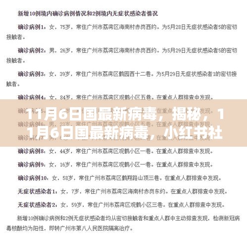 揭秘最新病毒，小红书社区里的真相与防控策略（11月6日更新）