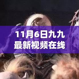 揭秘，科技重塑生活体验！在线观看九九最新视频神器亮相！