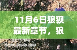 狼狈征途，自然秘境探险之旅的最新篇章