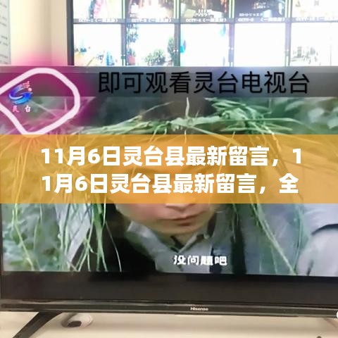 11月6日灵台县最新留言，全面评测与深度介绍