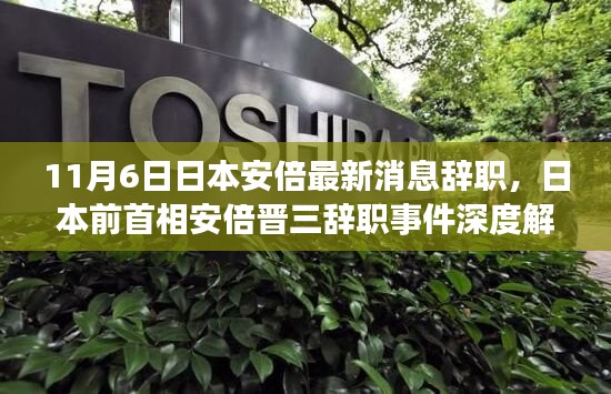 日本前首相安倍晋三辞职事件深度解析，最新消息与影响