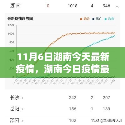 湖南疫情最新动态解析与评估，11月6日深度解读今日疫情情况