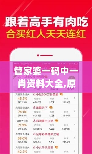 管家婆一码中一肖资料大全,原理解答解释落实_限量款89.144