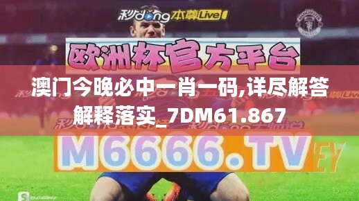 澳门今晚必中一肖一码,详尽解答解释落实_7DM61.867