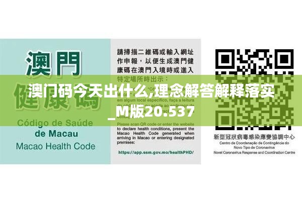 澳门码今天出什么,理念解答解释落实_M版20.537