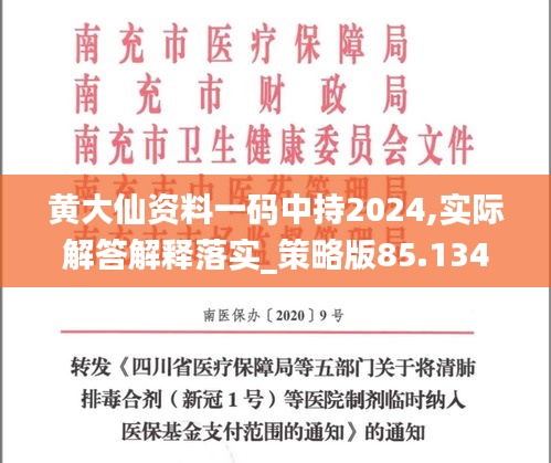 黄大仙资料一码中持2024,实际解答解释落实_策略版85.134