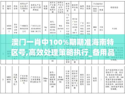 澳门一肖中100%期期准海南特区号,高效处理策略执行_备用品31.913