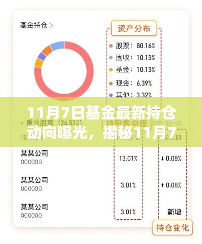 揭秘基金最新持仓动向，洞悉市场变化，指引投资布局方向（11月7日更新）