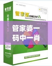 管家婆一码中一肖2014,高效计划应用策略解答_军事集24.173