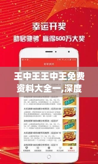 王中王王中王免费资料大全一,深度解答解释落实_RemixOS86.668