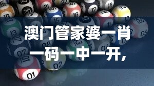 澳门管家婆一肖一码一中一开,全部解答解释落实_轻量版93.666