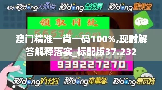 澳门精准一肖一码100%,现时解答解释落实_标配版37.232