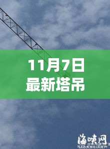 11月7日塔吊新闻下的自然探索与心灵宁静之旅