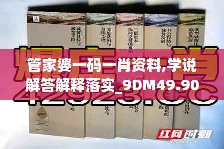 管家婆一码一肖资料,学说解答解释落实_9DM49.906