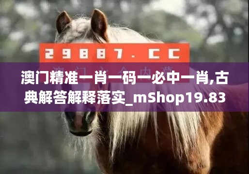 澳门精准一肖一码一必中一肖,古典解答解释落实_mShop19.834