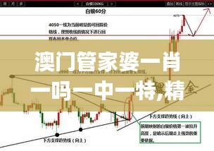 澳门管家婆一肖一吗一中一特,精准解答解释落实_理财版95.553