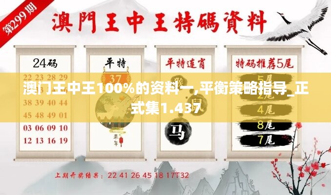 澳门王中王100%的资料一,平衡策略指导_正式集1.437