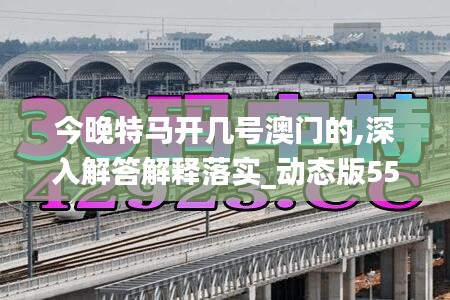 今晚特马开几号澳门的,深入解答解释落实_动态版55.955