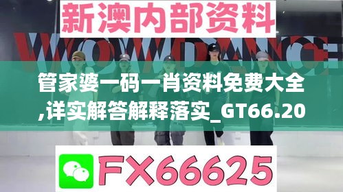 管家婆一码一肖资料免费大全,详实解答解释落实_GT66.207