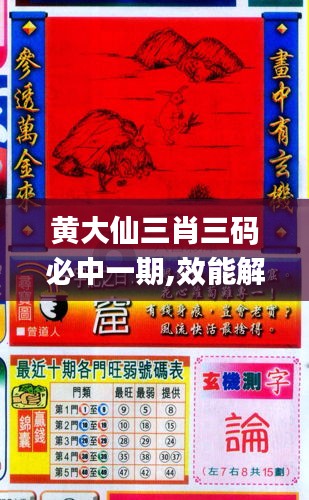 黄大仙三肖三码必中一期,效能解答解释落实_领航版10.702