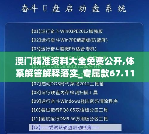 澳门精准资料大全免费公开,体系解答解释落实_专属款67.116