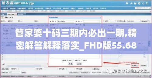 管家婆十码三期内必出一期,精密解答解释落实_FHD版55.687