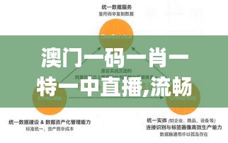 澳门一码一肖一特一中直播,流畅解答解释落实_SE款39.564