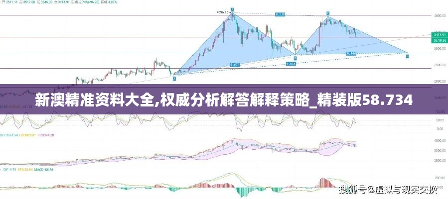 新澳精准资料大全,权威分析解答解释策略_精装版58.734