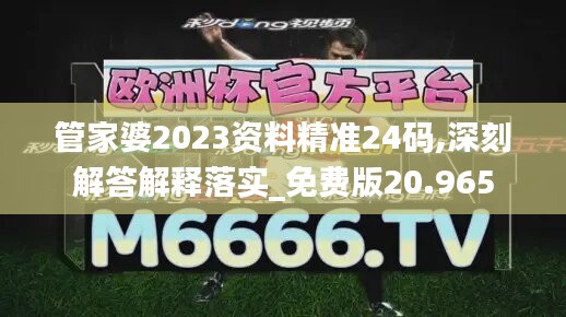 管家婆2023资料精准24码,深刻解答解释落实_免费版20.965