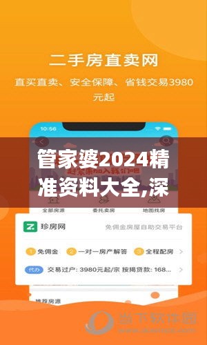 管家婆2024精准资料大全,深远解答解释落实_苹果款81.357