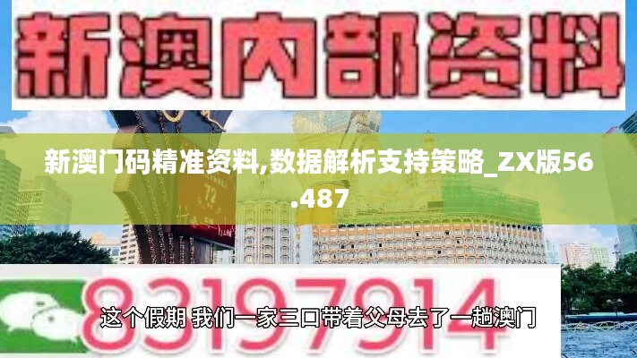 新澳门码精准资料,数据解析支持策略_ZX版56.487