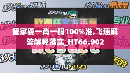 管家婆一肖一码100%准,飞速解答解释落实_HT66.902