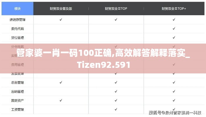 管家婆一肖一码100正确,高效解答解释落实_Tizen92.591