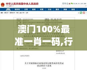 澳门100%最准一肖一码,行业解答解释落实_入门版84.372