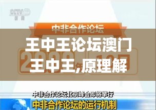 王中王论坛澳门王中王,原理解答解释落实_入门版97.806