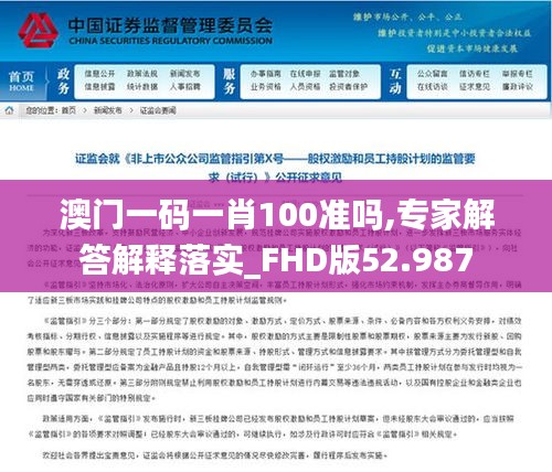 澳门一码一肖100准吗,专家解答解释落实_FHD版52.987