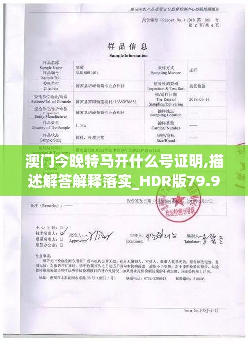 澳门今晚特马开什么号证明,描述解答解释落实_HDR版79.979