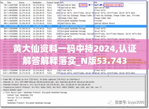 黄大仙资料一码中持2024,认证解答解释落实_N版53.743