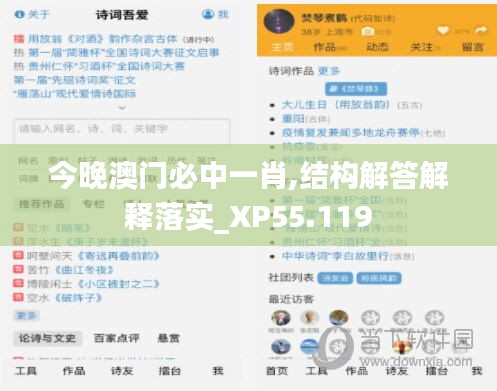 今晚澳门必中一肖,结构解答解释落实_XP55.119