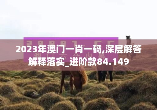 2023年澳门一肖一码,深层解答解释落实_进阶款84.149