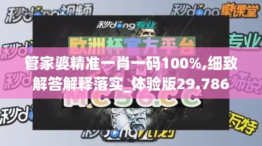 管家婆精准一肖一码100%,细致解答解释落实_体验版29.786