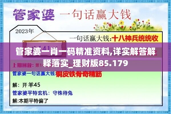 管家婆一肖一码精准资料,详实解答解释落实_理财版85.179